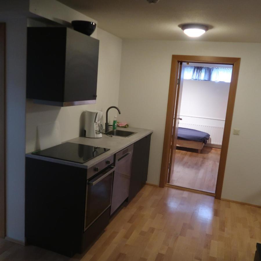 Large Apartment Close To The Centre Reykjavík Eksteriør bilde